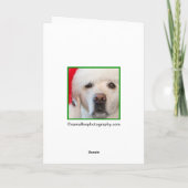 レッドプードルクリスマスカード シーズンカード (裏面)