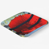 レッドベッタ ペーパープレート (傾斜あり)