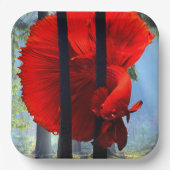 レッドベッタ ペーパープレート (正面)