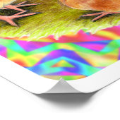 レッドベビーチックス ポスター (角)