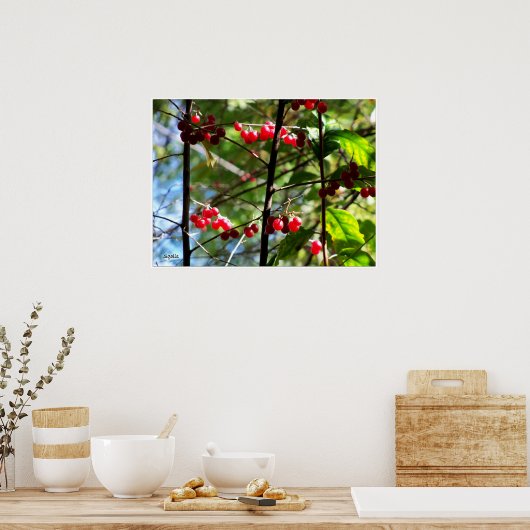 レッドベリーの木の写真のプリントポスター ポスター (キッチン)