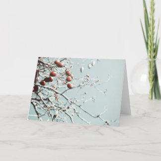 レッドベリークリスマスカード シーズンカード