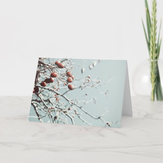 レッドベリークリスマスカード シーズンカード (正面)