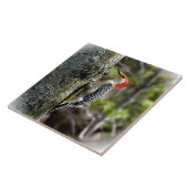 レッドベリーズ・ウッドペッカー タイル (側面)