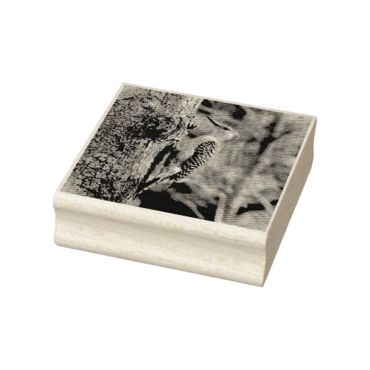 レッドベリーズ・ウッドペッカー ラバースタンプ (スタンプ)