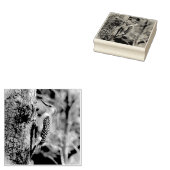 レッドベリーズ・ウッドペッカー ラバースタンプ (押印)