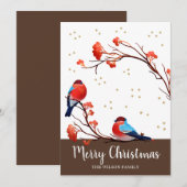 レッドベリーブランチクリスマスに可愛いロビンバード シーズンカード (正面/裏面)