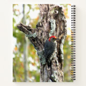 レッドベル付きウッドペッカースパイラルノート ノートブック (裏面)