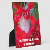 レッドペタルフェザーアートプリント フォトプラーク (側面)