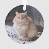 レッドペットパーソナライズされたの写真名メオイクリスマス オーナメント (裏面)