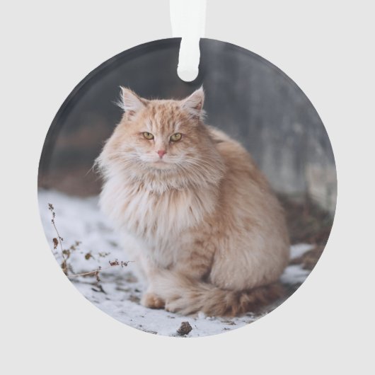 レッドペットパーソナライズされたの写真名メオイクリスマス オーナメント (裏面)