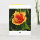 レッドホットハイビスカスマザーズデイカード カード (裏面)