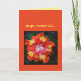 レッドホットハイビスカスマザーズデイカード カード