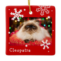 レッドホリデーペットフォトスノーフレーク