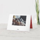 レッドホリーすてきハンドレタリングベビー写真 シーズンカード (裏面)