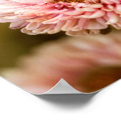 レッドホワイト中国アスター ポスター (角)