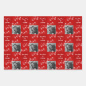 レッドホワイト雪のミニマリスト写真クリスマス ラッピングペーパーシート (正面)