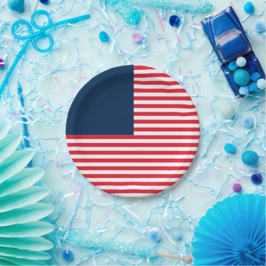 レッドホワイト&ブルーおもしろいファミリーフレンズお祝い ペーパープレート (パーティー)