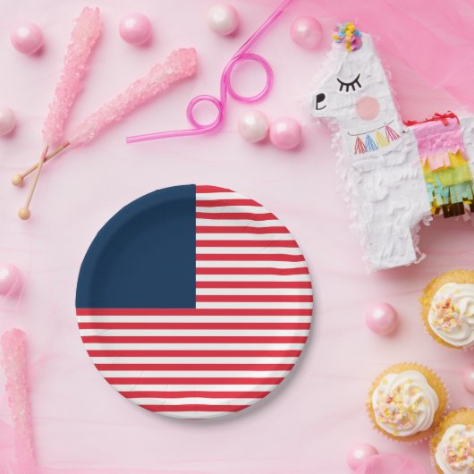 レッドホワイト&ブルーおもしろいファミリーフレンズお祝い ペーパープレート (パーティー)