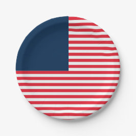 レッドホワイト&ブルーおもしろいファミリーフレンズお祝い ペーパープレート