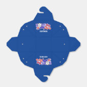 レッドホワイト&ブルー走ホーム野球持ち出しボックス フェイバーボックス (折り畳みなし)