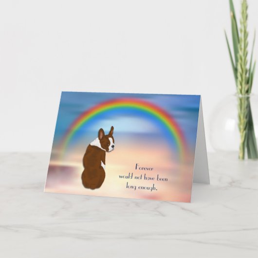 レッドボストンテリア虹の同情カードの損失 シーズンカード (正面)