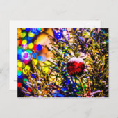 レッドボール、クリスマスライト ポストカード (正面/裏面)