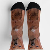 レッドボーン絵画ハウンド – かわいいオリジナルドッグアート ソックス (上部)