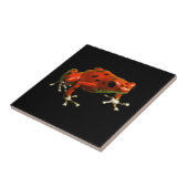 レッドポイズンダーツカエル タイル (側面)