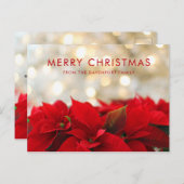 レッドポインセチアとゴールデン《写真》ぼけ味クリスマス ポストカード (正面/裏面)
