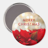 レッドポインセチアとゴールデン《写真》ぼけ味クリスマス マグネット (正面/裏面)