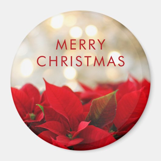 レッドポインセチアとゴールデン《写真》ぼけ味クリスマス マグネット (正面)