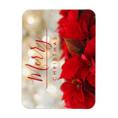 レッドポインセチアとゴールデン《写真》ぼけ味クリスマス マグネット (縦)