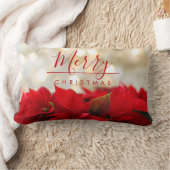 レッドポインセチアとゴールデン《写真》ぼけ味クリスマス ランバークッション (ブランケット)