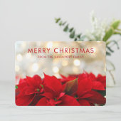 レッドポインセチアとゴールデン《写真》ぼけ味メリークリスマス シーズンカード (スタンド正面)