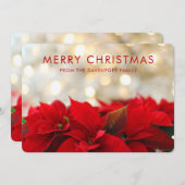 レッドポインセチアとゴールデン《写真》ぼけ味メリークリスマス シーズンカード (正面/裏面)