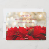レッドポインセチアとゴールデン《写真》ぼけ味メリークリスマス シーズンカード (裏面)