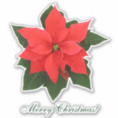 レッドポインセチアのステッカー シール (正面)