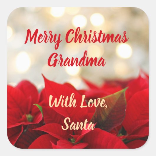 レッドポインセチアカスタム文字フローラクリスマス スクエアシール (正面)
