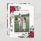 レッドポインセチア植物学メリークリスマスフォト シーズンポストカード (正面/裏面)