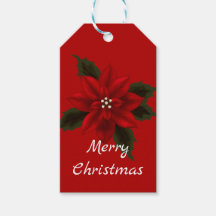 レッドポインセチア赤