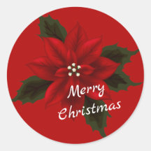 レッドポインセチア赤