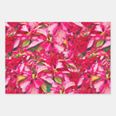 レッドポインセティアスクリスマスフローラルパターン ラッピングペーパーシート (正面2)