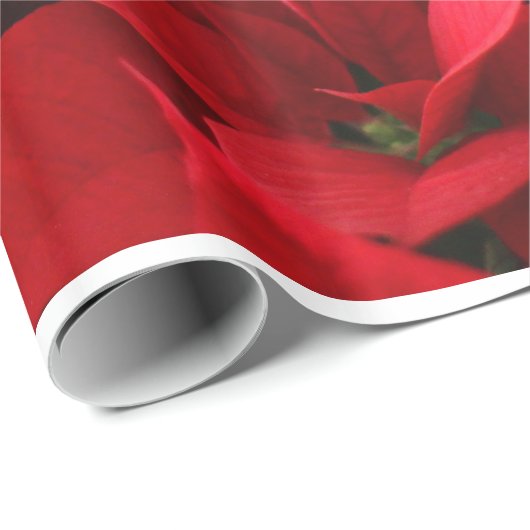 レッドポインセティアスフォトメリークリスマスタイポグラフィ ラッピングペーパー (ロールコーナー)