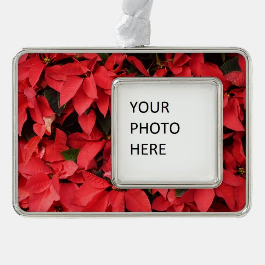 レッドポインセティアスIIクリスマスホリデーフローラ シルバープレートフレームオーナメント (正面)