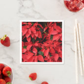 レッドポインセティアスIIクリスマスホリデーフローラ スタンダードカクテルナプキン (インサイチュ)