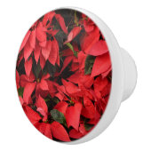レッドポインセティアスIIクリスマスホリデーフローラ セラミックノブ (右)