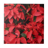 レッドポインセティアスIIクリスマスホリデーフローラ タイル (正面)