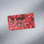 レッドポインセティアスIIクリスマスホリデーフローラ マグネット名刺 (インサイチュ)