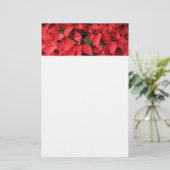 レッドポインセティアスIIクリスマスホリデーフローラ 便箋 (スタンド正面)